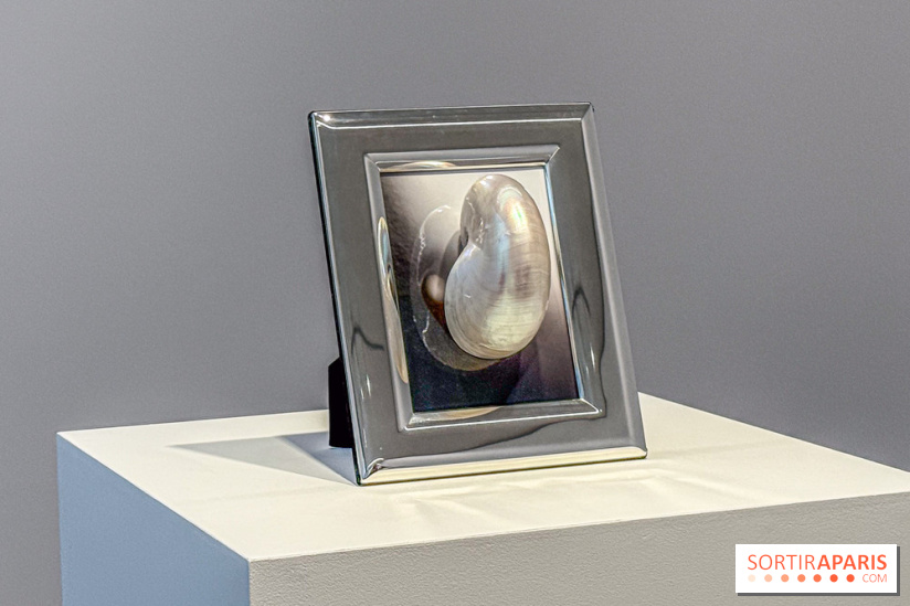 Hélène Fauquet : Vivresse, l’exposition entre bulles et coquillages à Lafayette Anticipations.
