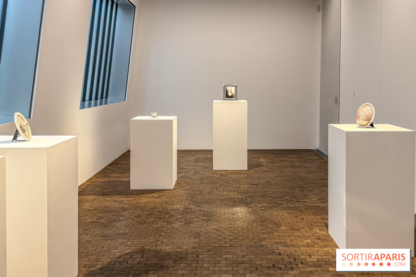 Hélène Fauquet : Vivresse, l’exposition entre bulles et coquillages à Lafayette Anticipations.