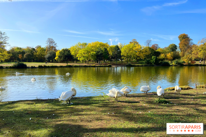 Les îles du Lac Daumesnil, une escapade dans le 12e arrondissement de Paris