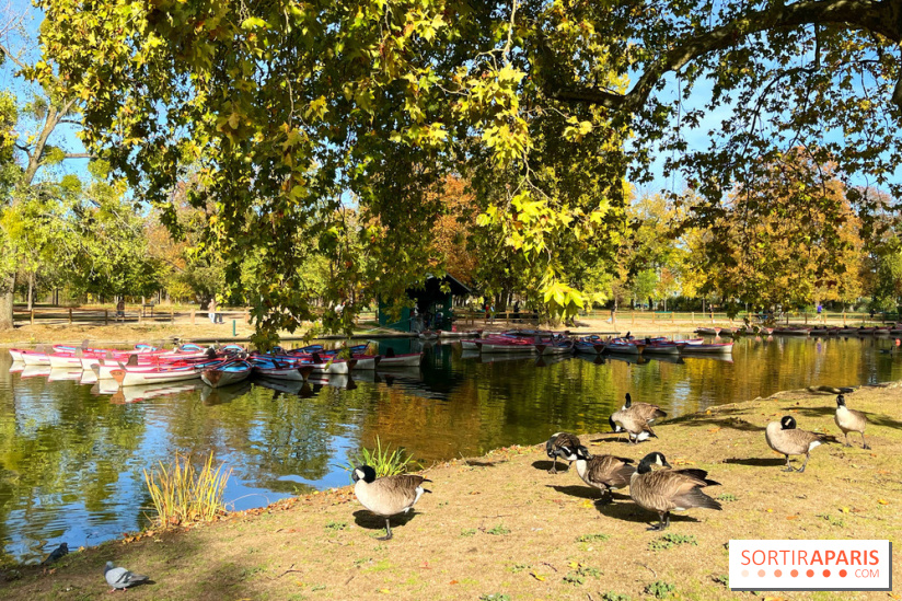 Les îles du Lac Daumesnil, une escapade dans le 12e arrondissement de Paris