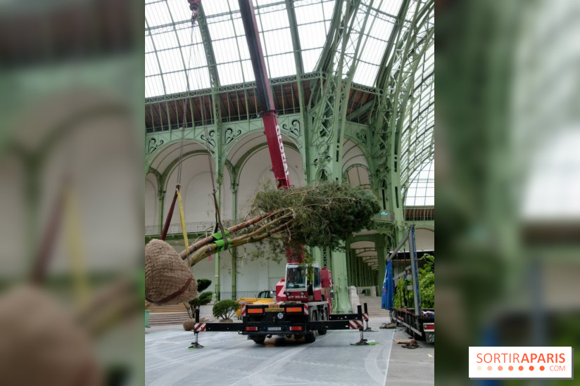 L'art du Jardin au Grand Palais