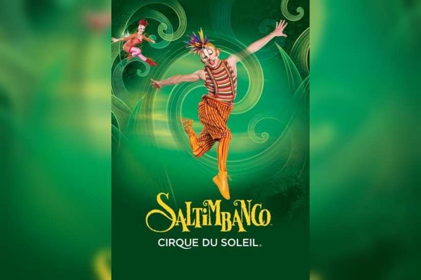 Saltimbanco Paris Bercy