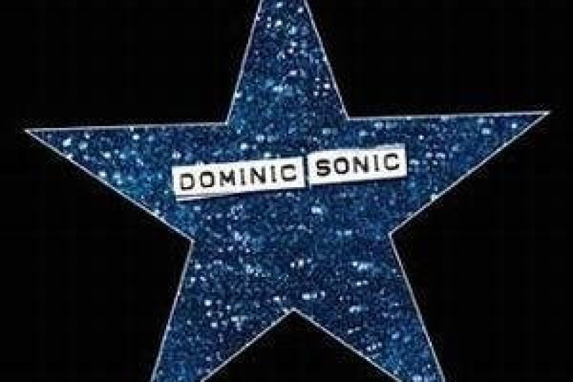 Dominic Sonic