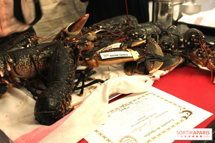 Cours de cuisine spécial Homard à l'Ecole Ducasse