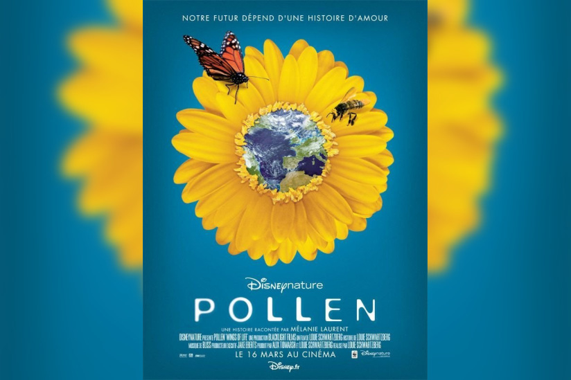 Pollen, Cinéma, Disney