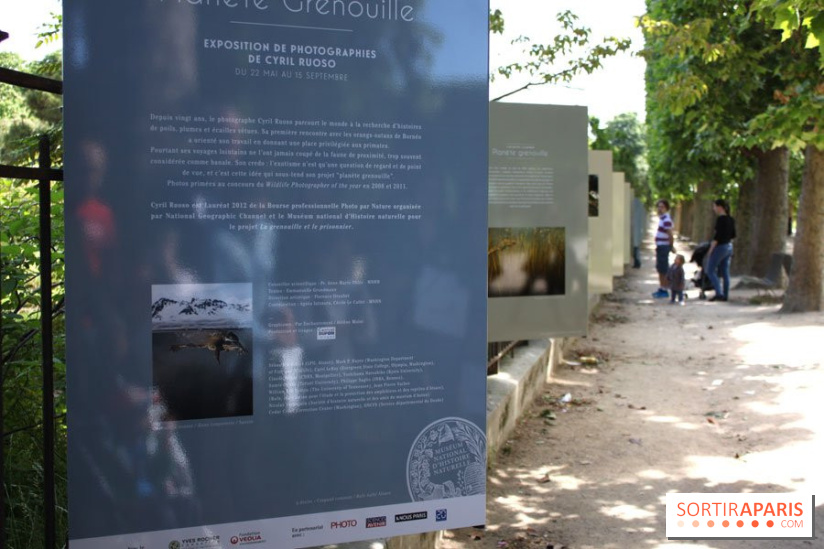 Exposition Planète Grenouille par Cyril Ruoso au Jardin des Plantes
