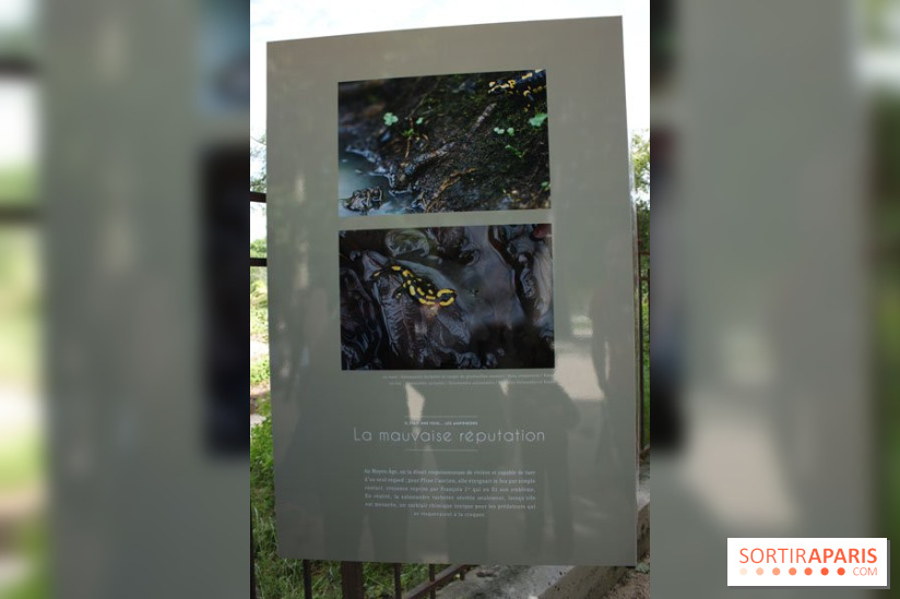 Exposition Planète Grenouille par Cyril Ruoso au Jardin des Plantes