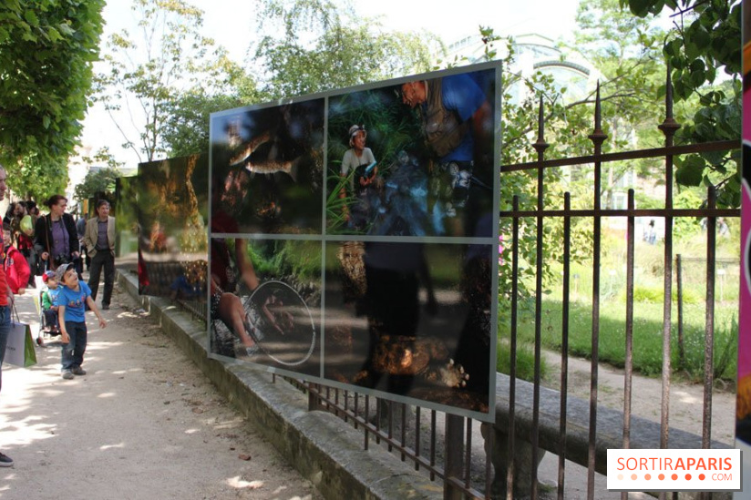 Exposition Planète Grenouille par Cyril Ruoso au Jardin des Plantes
