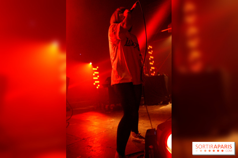 Festival Astropolis 2013