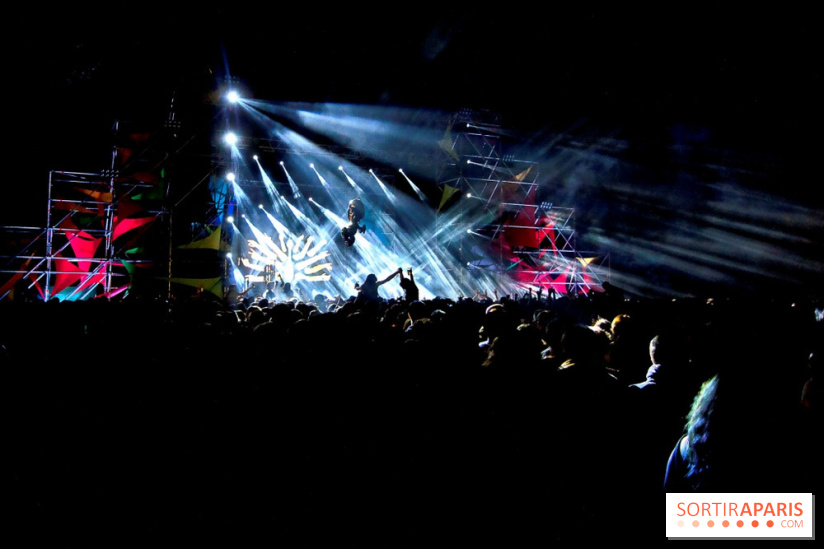 The Peacock Society 2013