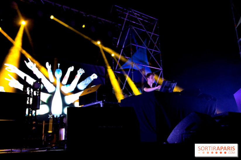 The Peacock Society 2013