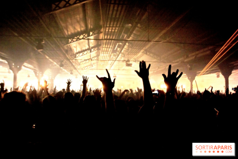 The Peacock Society 2013