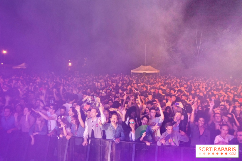 The Peacock Society 2013