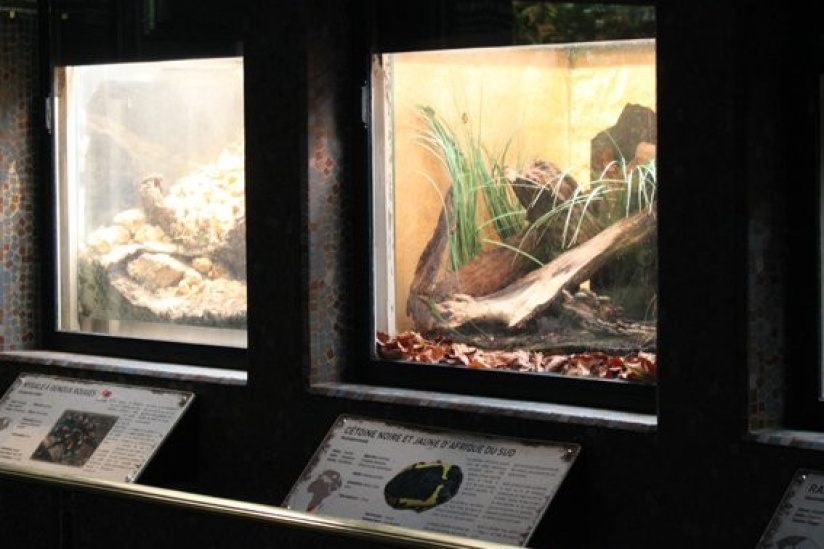 la ménagerie du jardin des plantes