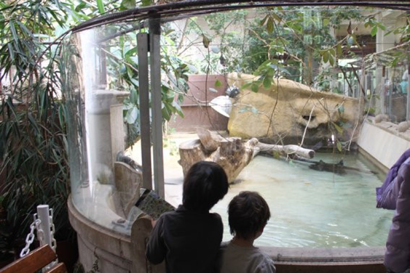 la ménagerie du jardin des plantes