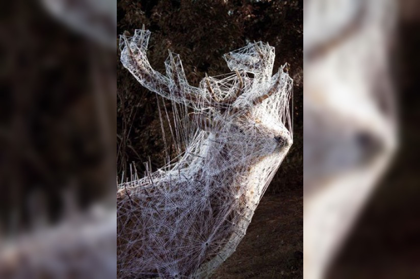 Fondation d'entreprise Ricard, Rituels, Gaël Charbau, exposition
