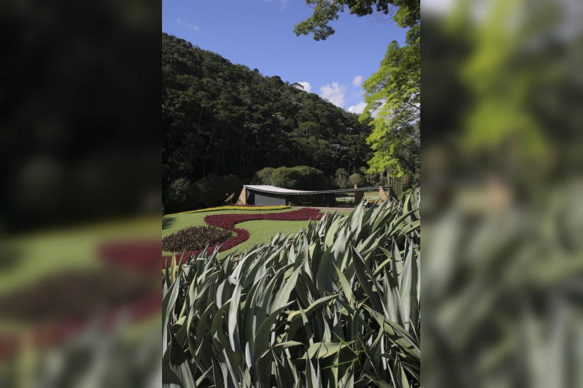 Roberto Burle Marx, Palais de Chaillot, Cité de l'Architecture et du Patrimoine, Permanence de l'Instant