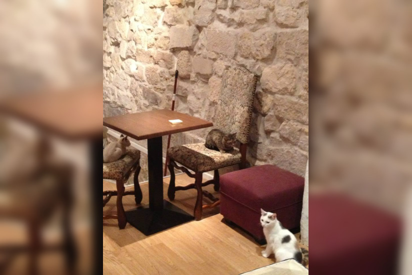 Le Café des Chats à Paris