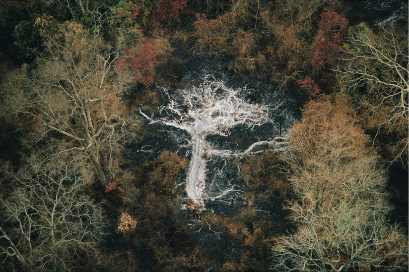 Cendres d’un arbre près de monts Gorohoui Kongoli, Côte d’Ivoire, Yann Arthus-Bertrand