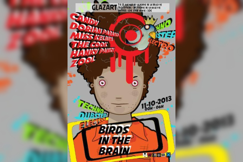 Birds in the brain