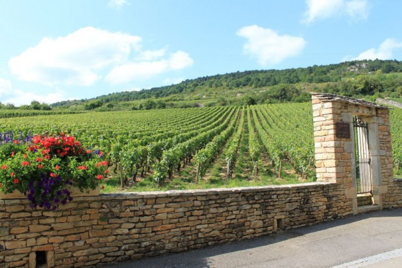 Soirée œnologique de Chablis à Mâcon chez Loiseau Rive Droite