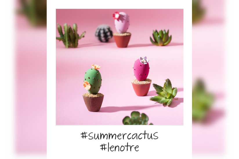 La tendance est au cactus chez Lenôtre
