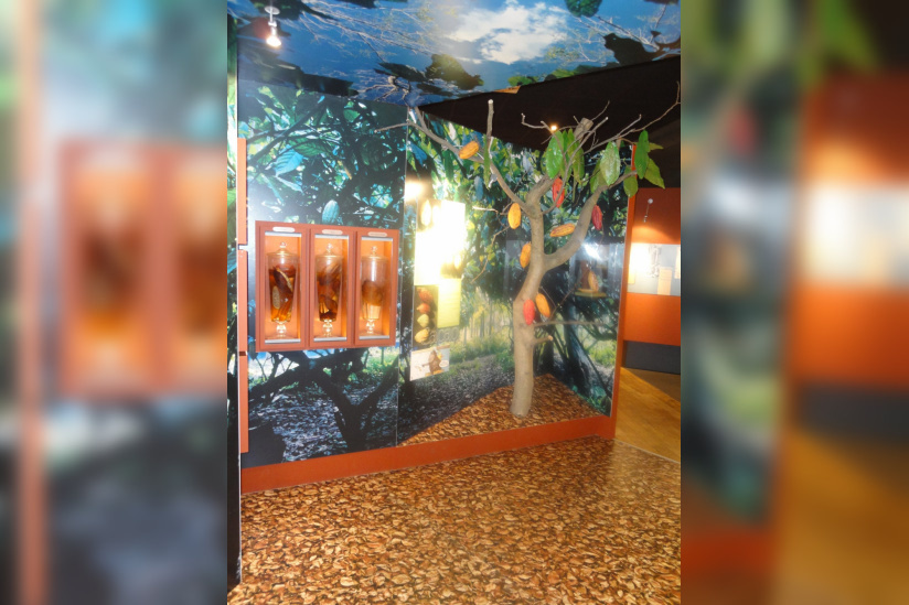 Le Musée Gourmand du Chocolat, Choco-Story, Musée