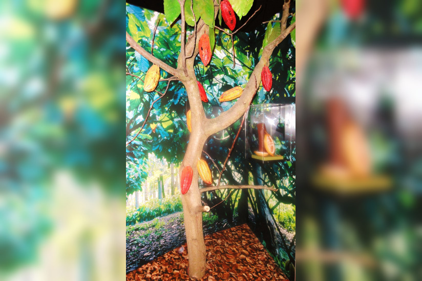 Le Musée Gourmand du Chocolat, Choco-Story, Musée