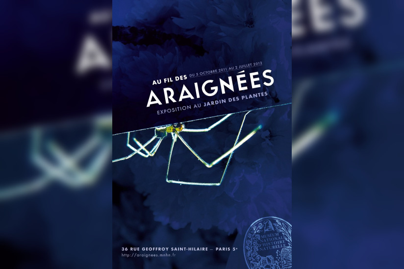 Araignées, Jardin des Plantes, Muséum national d'Histoire Naturelle, 