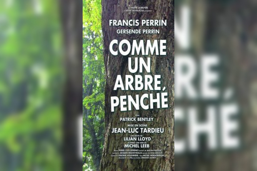 comme un arbre penché