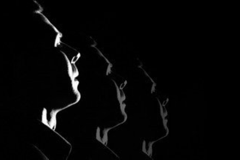 Journal d'une apparition