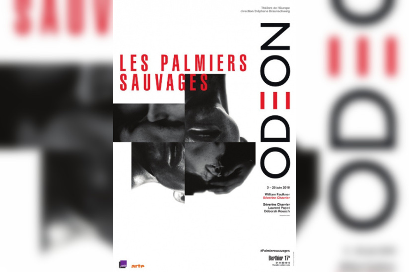 les palmiers sauvages