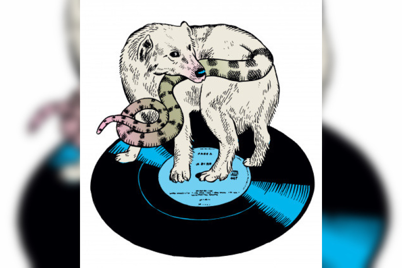 nos disques sont rayés