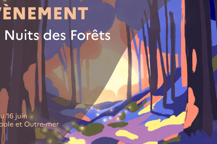 nuit des forets
