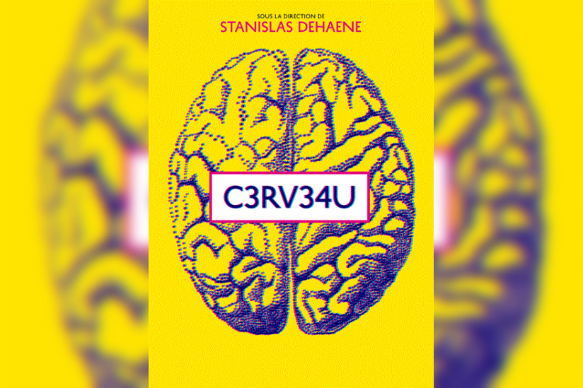 Cerveau, exposition Cité des Sciences