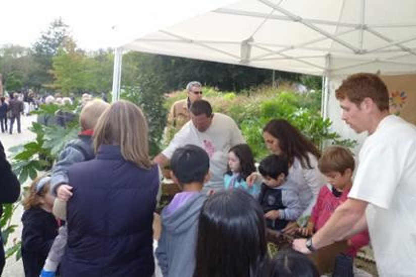 Fête des Jardins 2014
