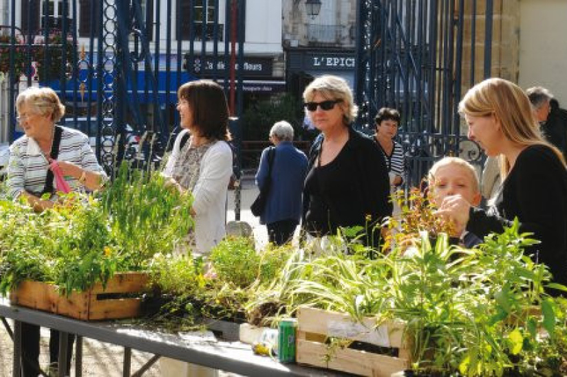 Fête des Jardins 2014 au Jardin de la ménagerie de Sceaux