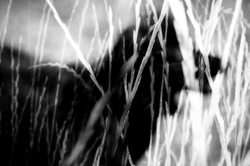 Jean-François Spricigo, Carnets du ciel à la Galerie Maeght