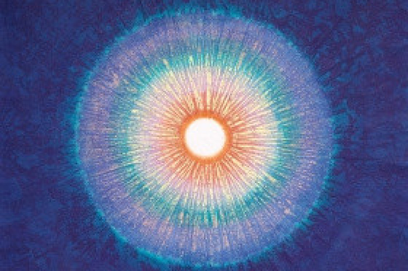 Artistes coréens en France au Musée Cernuschi