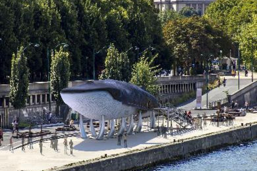 Une grande baleine bleue arrive à Paris