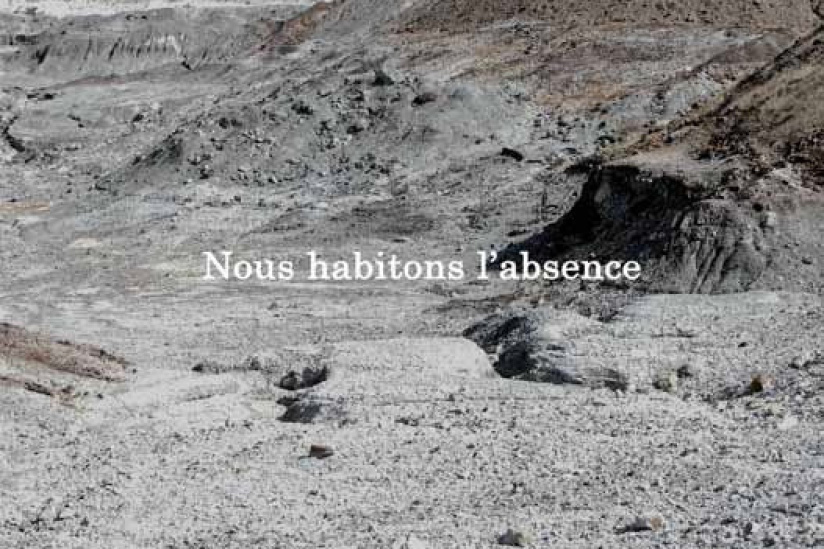 Michel Houellebecq, rester vivant au Palais de Tokyo