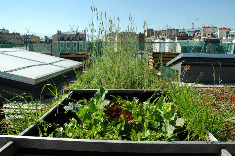 Rendez-vous aux Jardins 2017 au Musée du vivant d'AgroParisTech