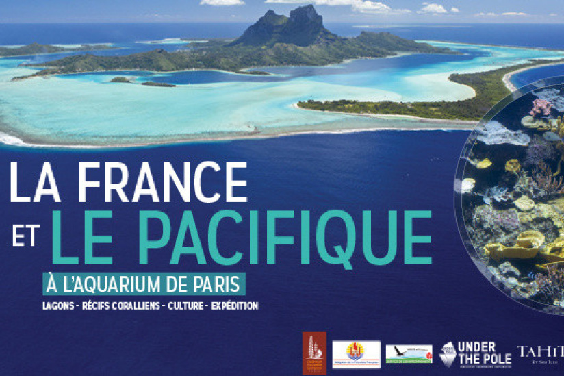 La France et le Pacifique, l'exposition à l'Aquarium de Paris