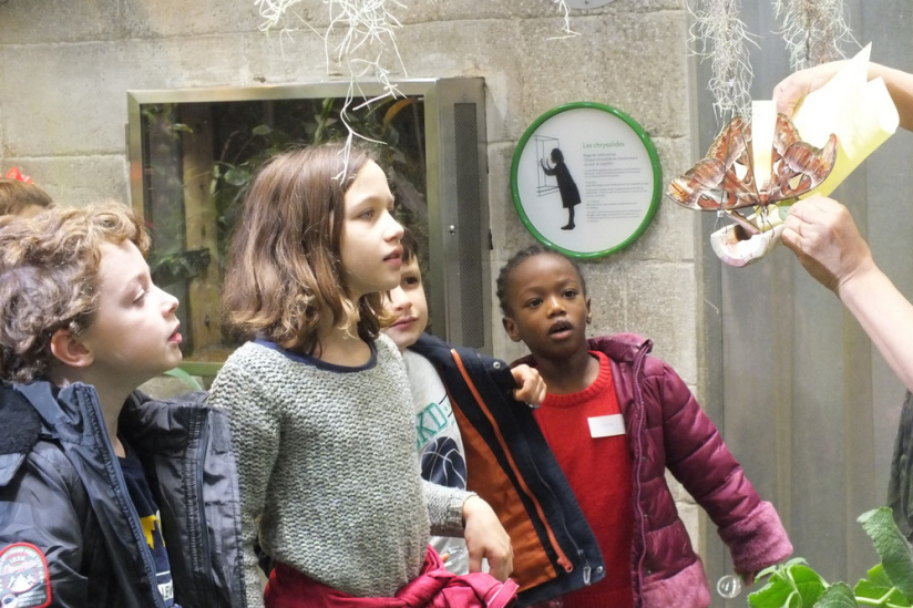 vacances de Noël 2019 : stage pollinisateurs en herbe à Clichy-la-Garenne