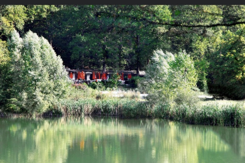 Fête de la Musique 2020 à la Terrasse de l’Etang