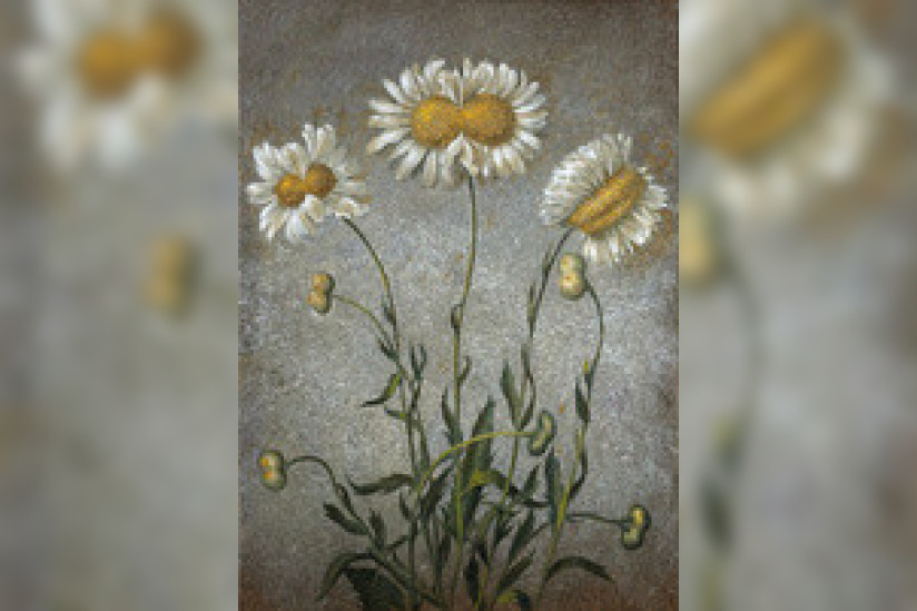 Laurent Grasso au Musée d'Orsay