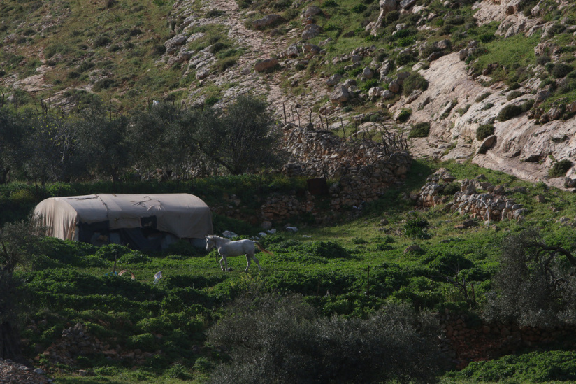 Nuit Blanche 2020 à la Villa Vassilieff