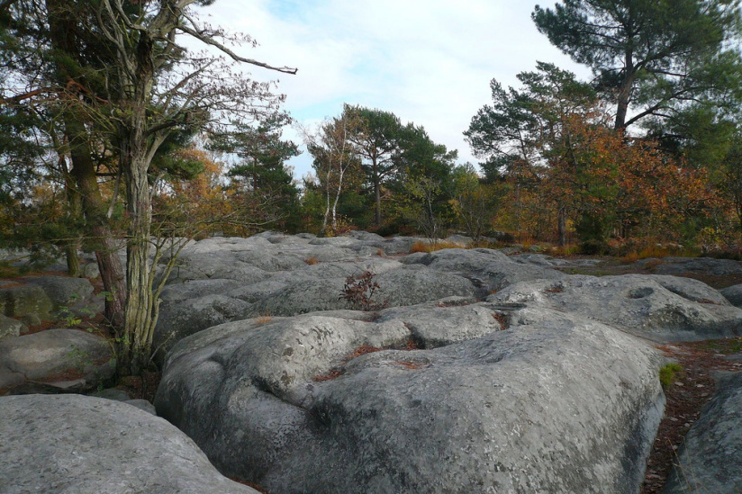 fontainebleau-platiere-apremontjpg