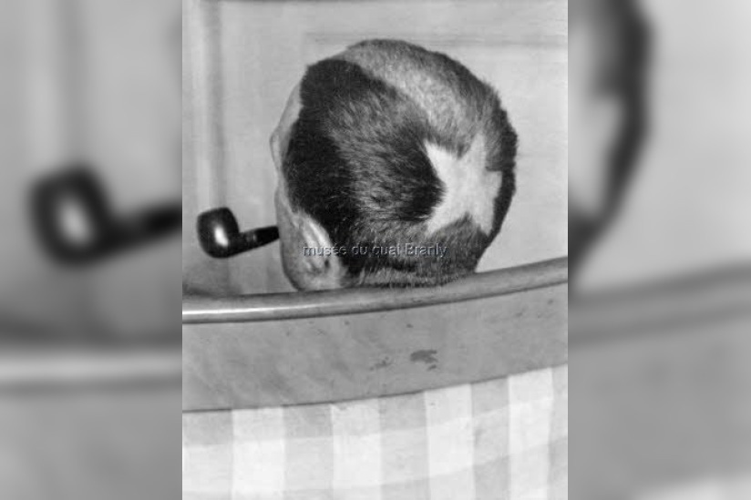 Cheveux Cheris Musée Quai Branly | Tonsure de Marcel Duchamp, 1919  photo Man Ray  collection particulière