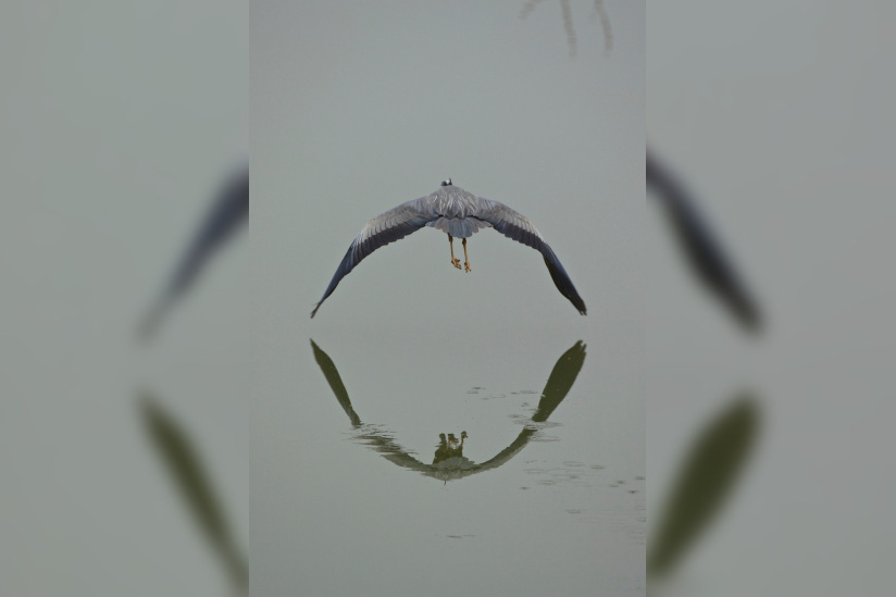 exposition AHAE au Chateau de Versailles